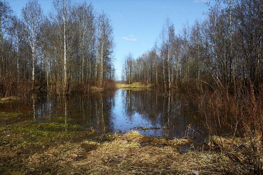 Photograph by Ruslan Sevastyanov