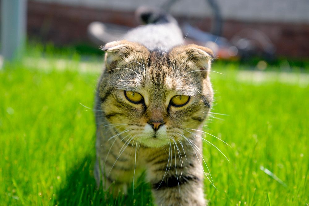 Photograph by Кристина Зайцева