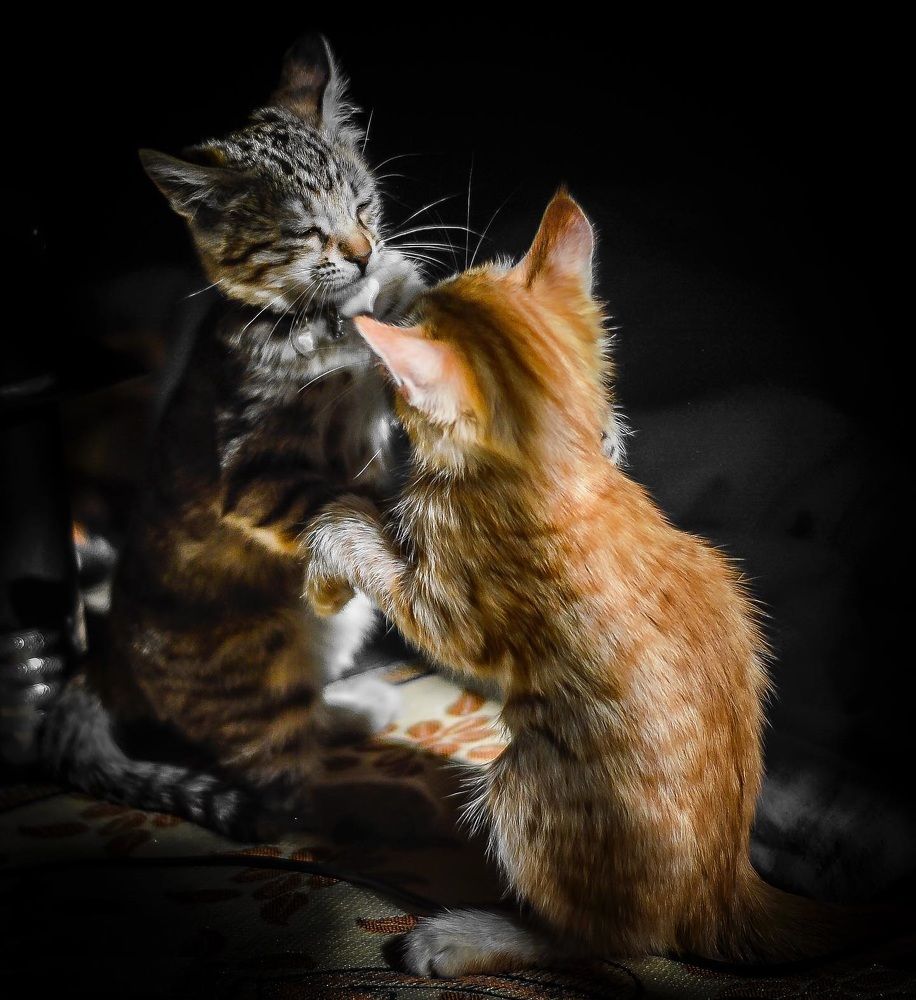 Photograph by Ibtesam usama