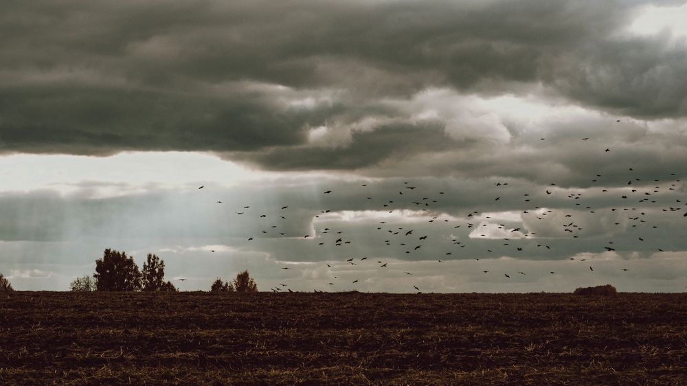 Photograph by Городничева Елена