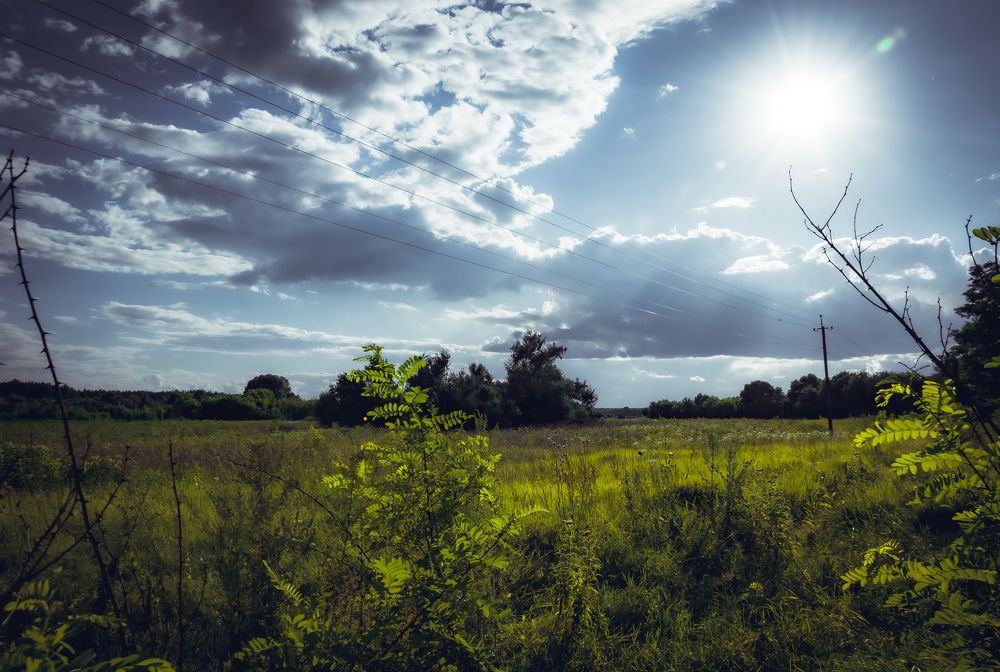 Photograph by Богдан Прохоренко