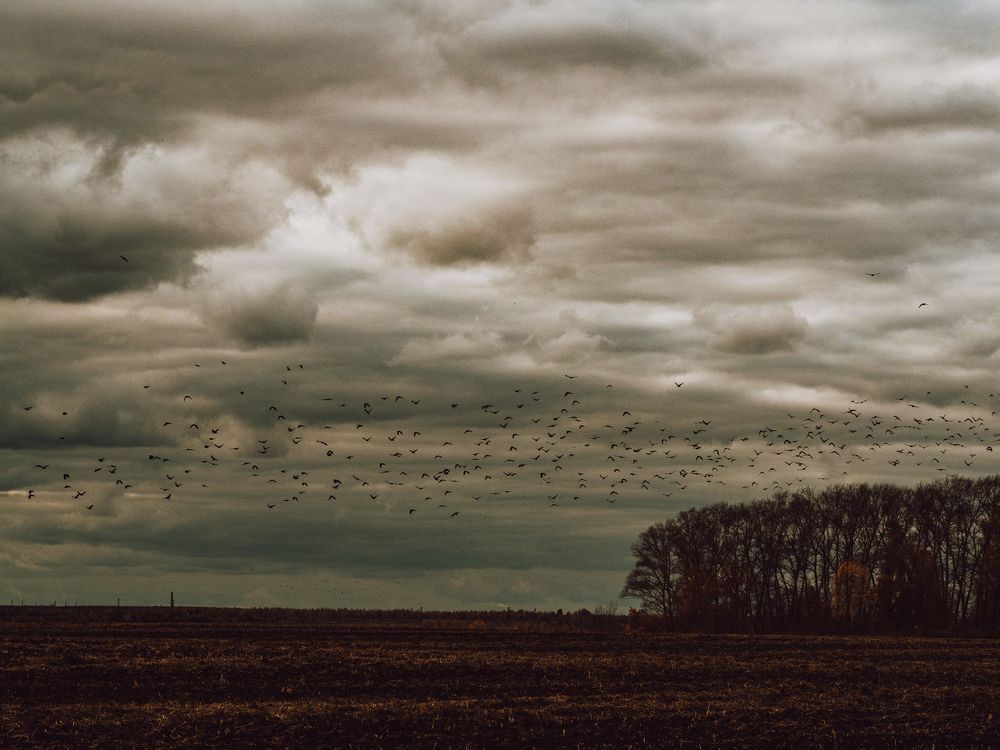 Photograph by Городничева Елена