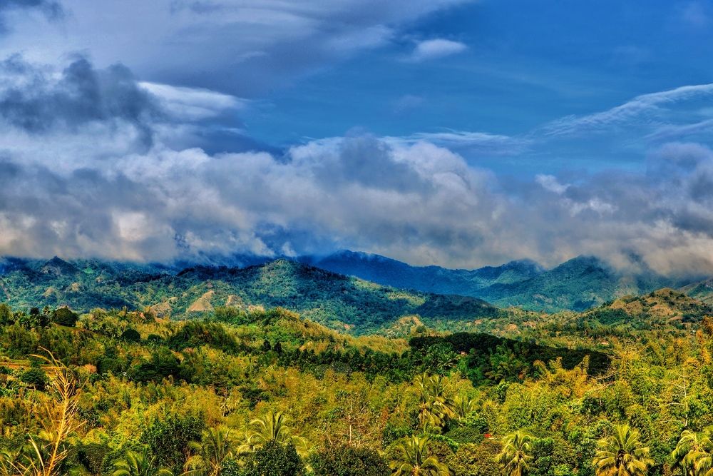 Photograph by Sharel Albor