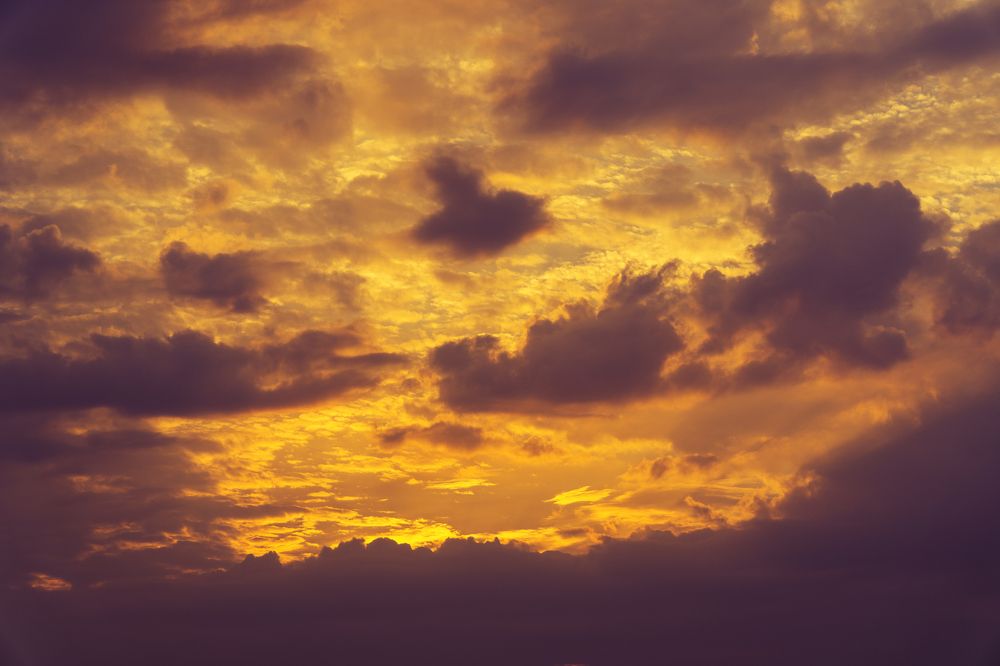 Photograph by Анна Майорова