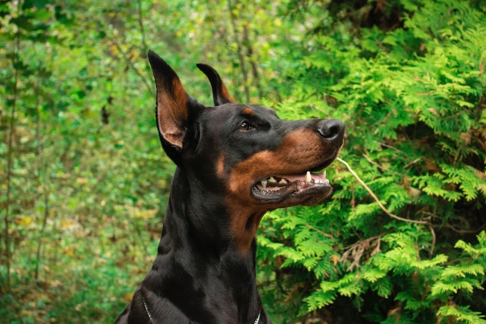 Photograph by Юлия