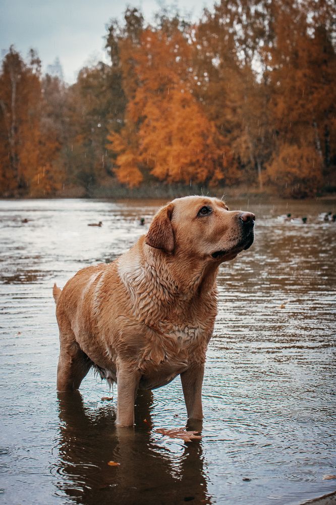 Photograph by Юлия