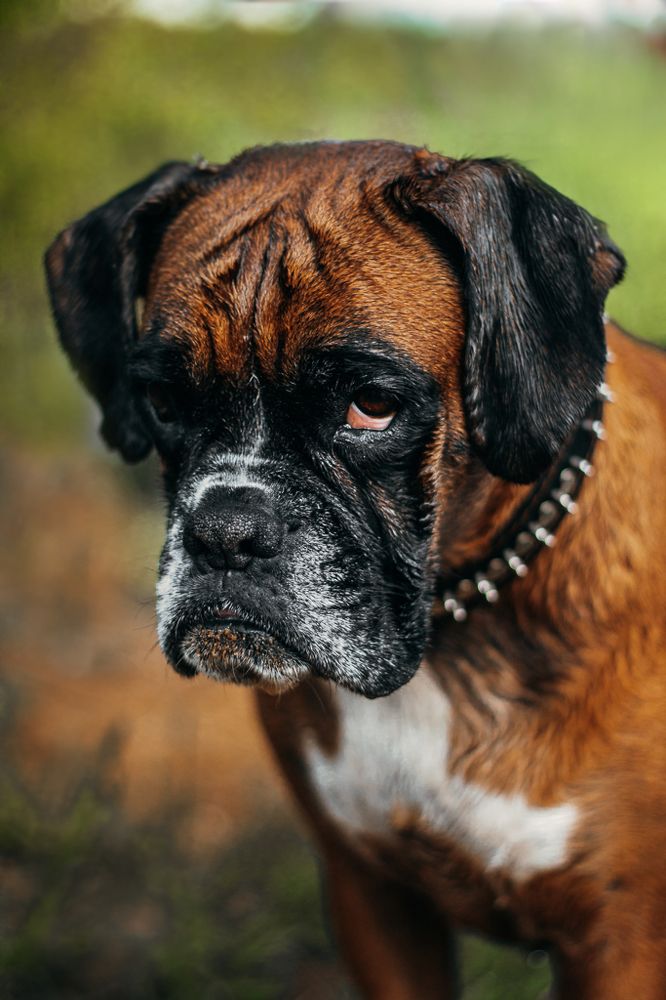 Photograph by Юлия