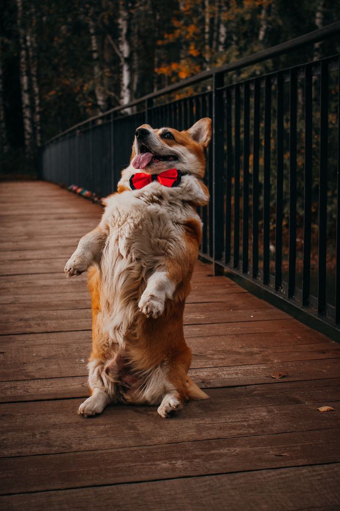 Photograph by Юлия