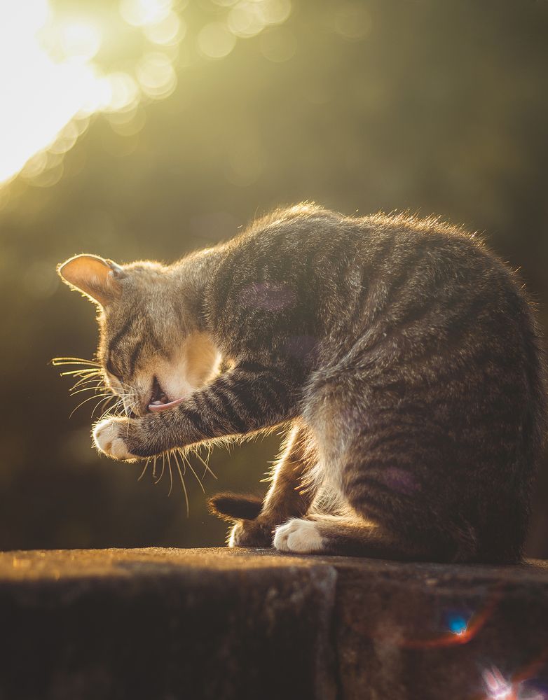 Photograph by Minh Chu Van