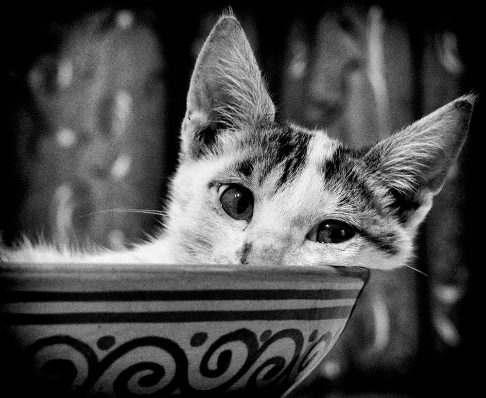 Photograph by Марина Идиатулина