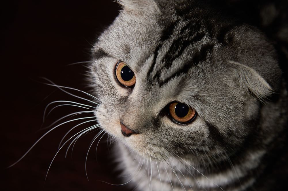 Photograph by Виктор Казаневский