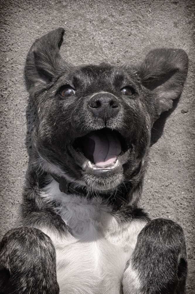 Photograph by Марина Идиатулина