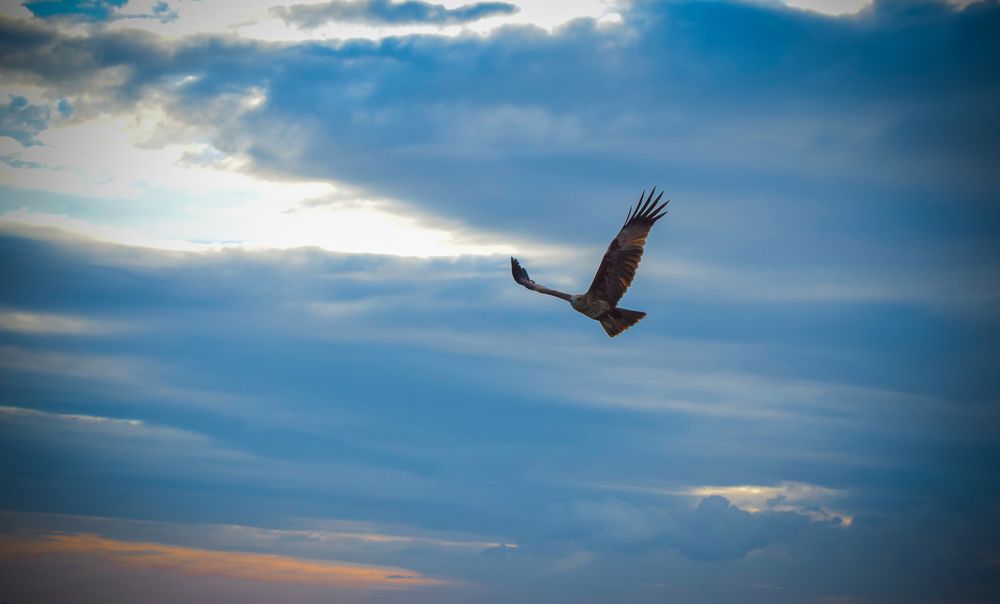 Photograph by shinlay shinas