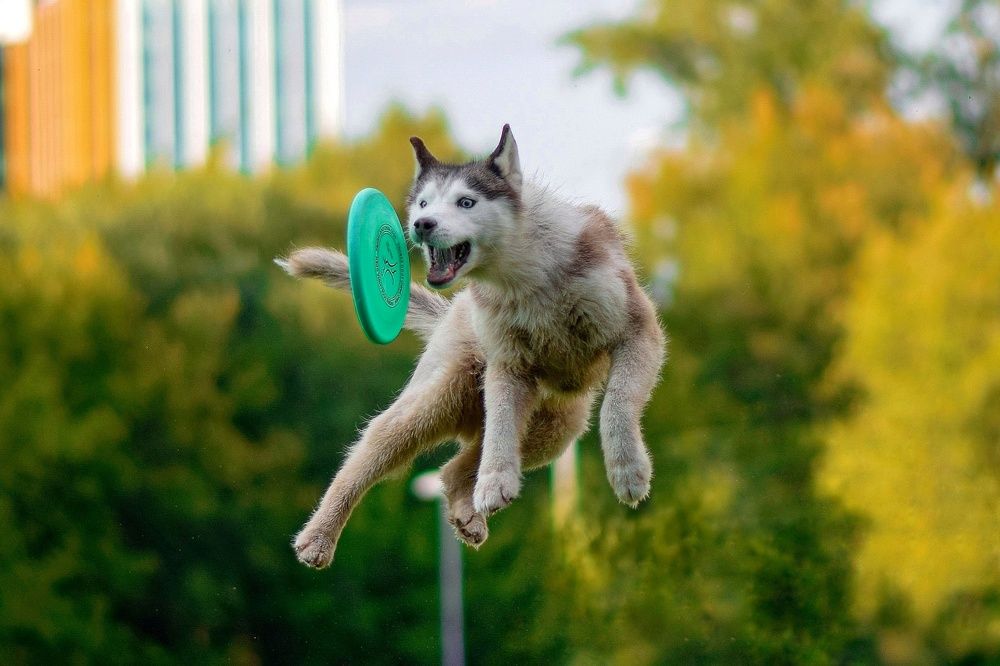 Фотография автора Мария Яропольская