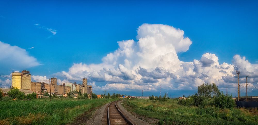 Кулундинская ветка