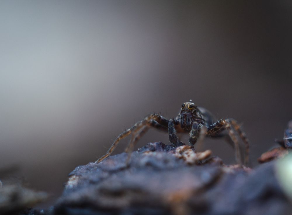 Photograph by Татьяна Холодная