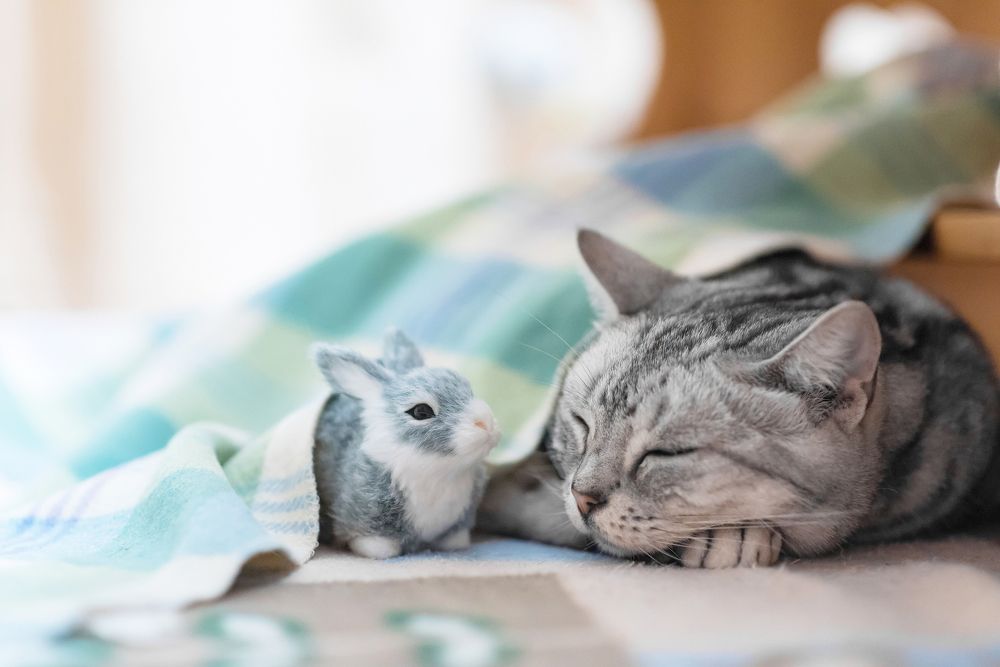 Photograph by mypure heart