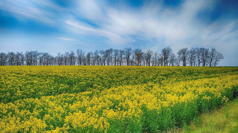 Фотография автора Eugene Vik