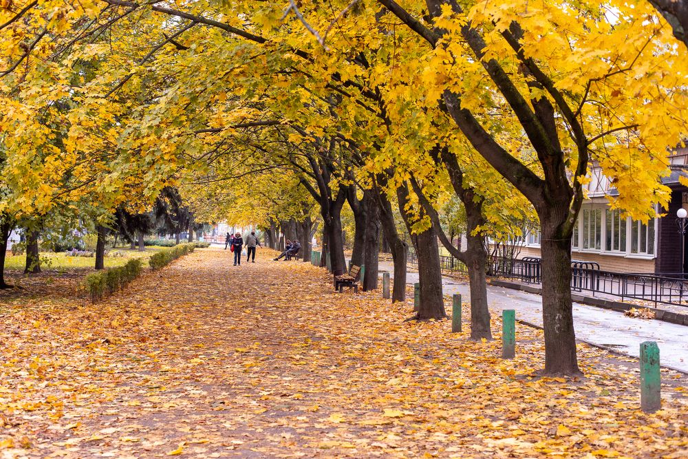 Фотография автора Тарас Гаркуша