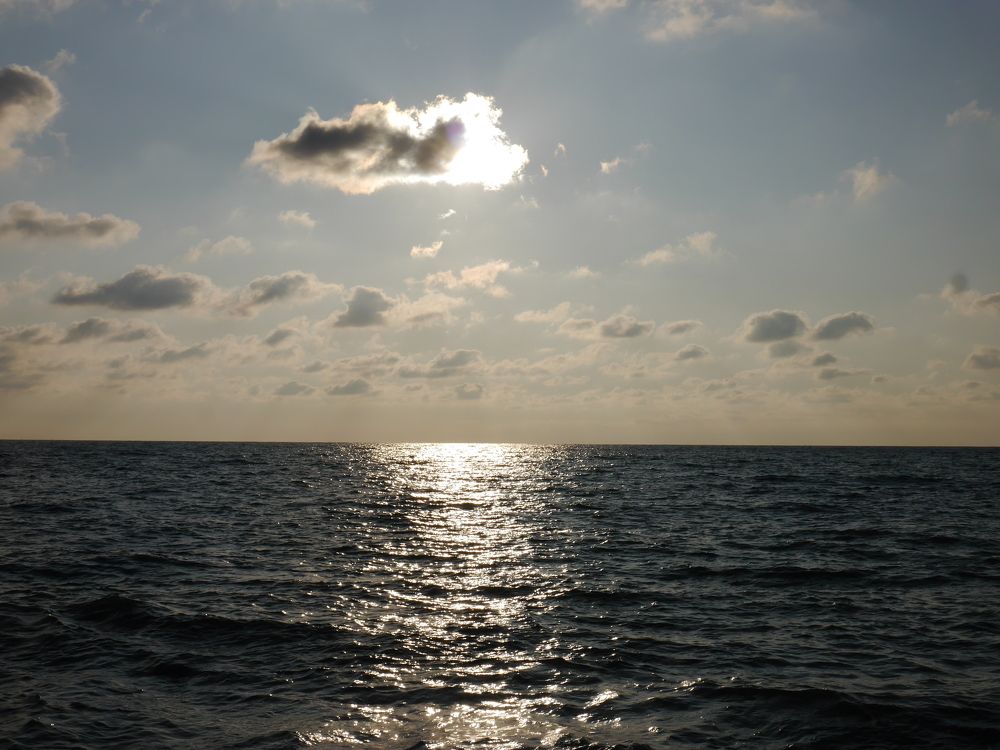 Photograph by Светлана Галкина