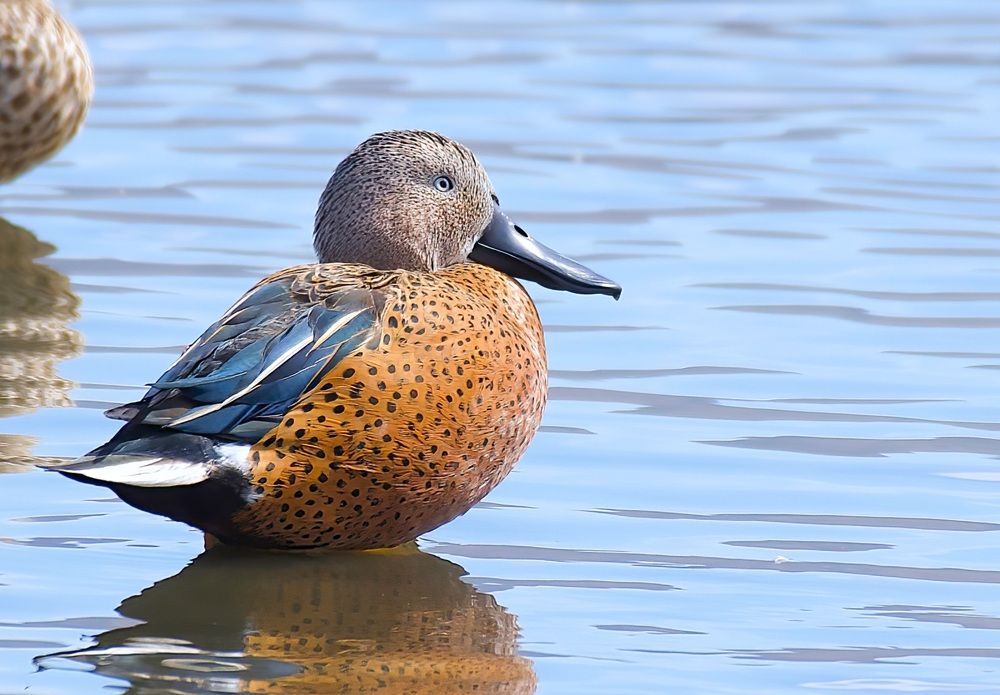 Photograph by Claudio Rojas