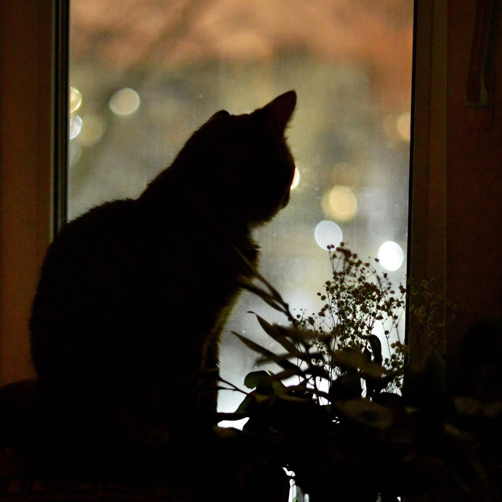 Photograph by Ольга Темкина