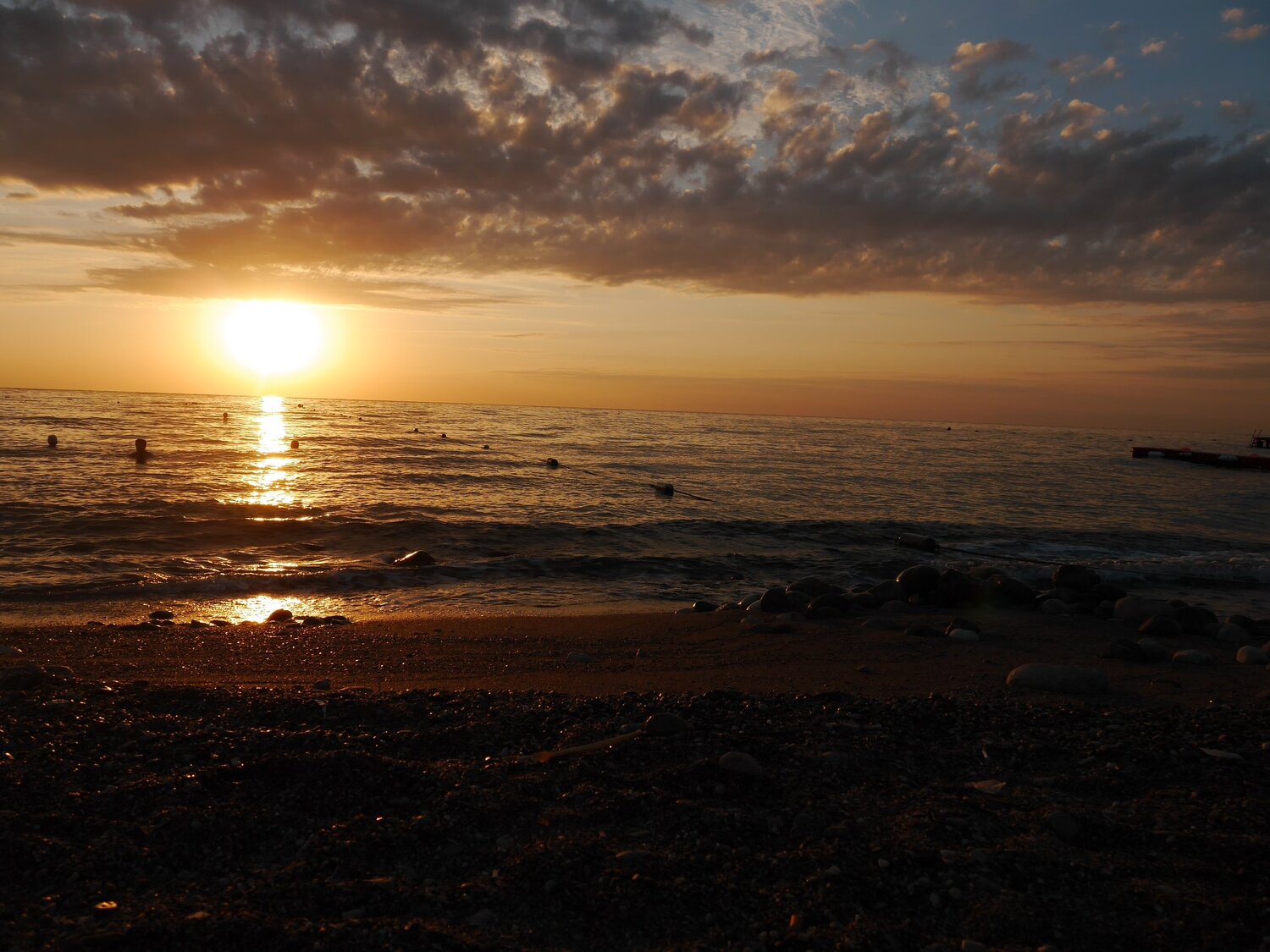 Photo #6074071