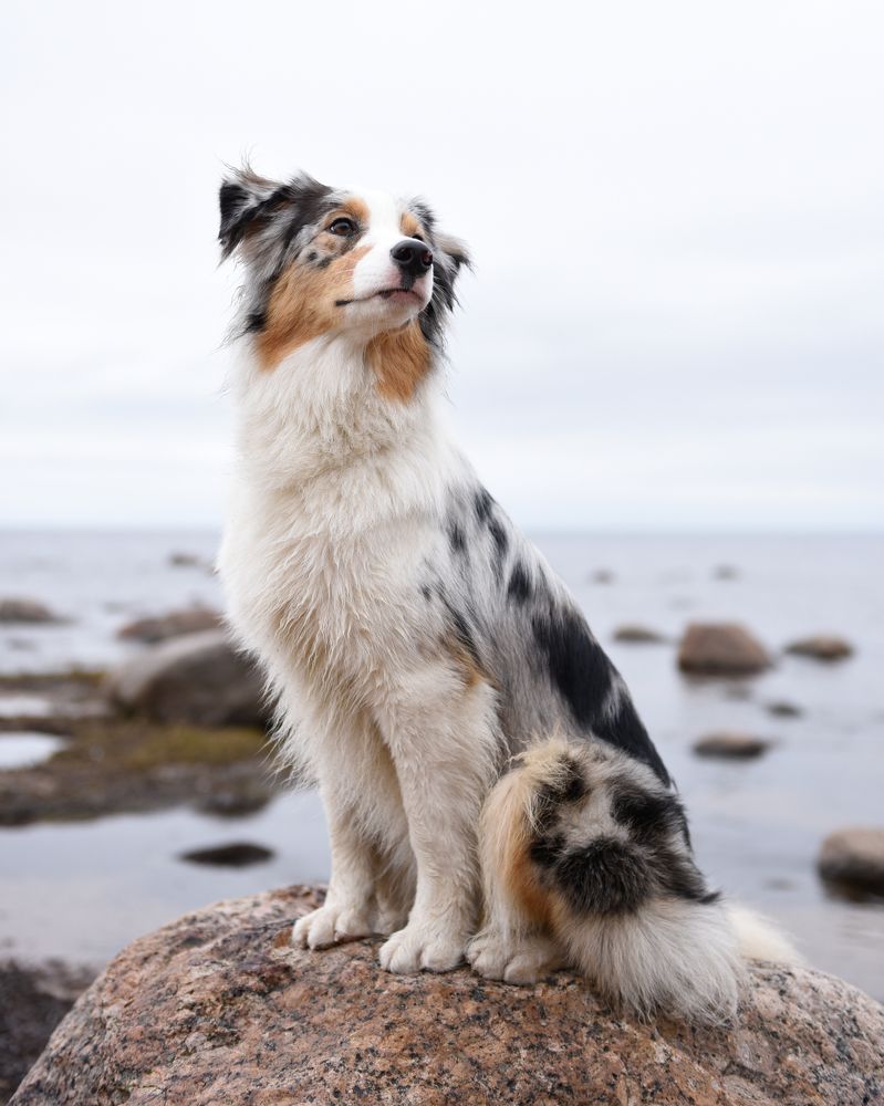 Photograph by Ксения Рыбка