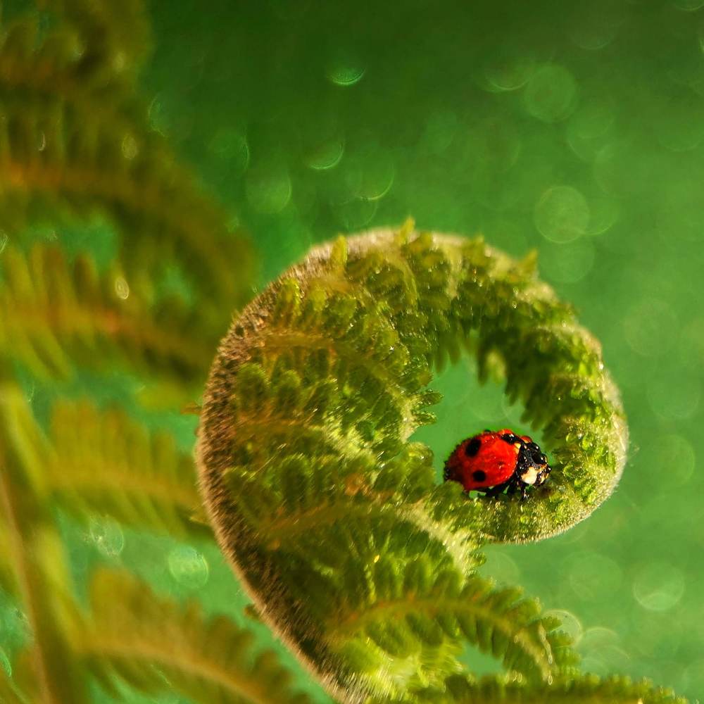 Photograph by Татьяна Холодная