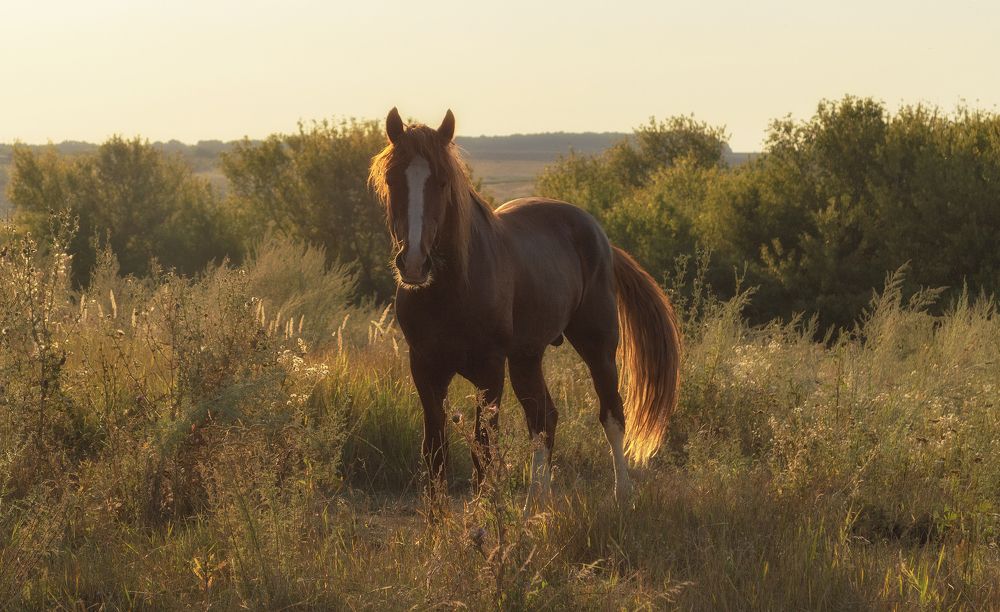 Photograph by Светлана Мельник