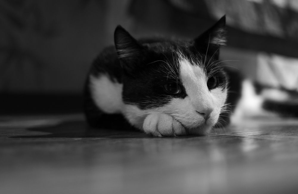 Photograph by Александра Мазур