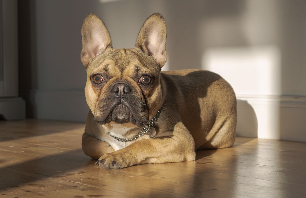 Photograph by Светлана Мельник