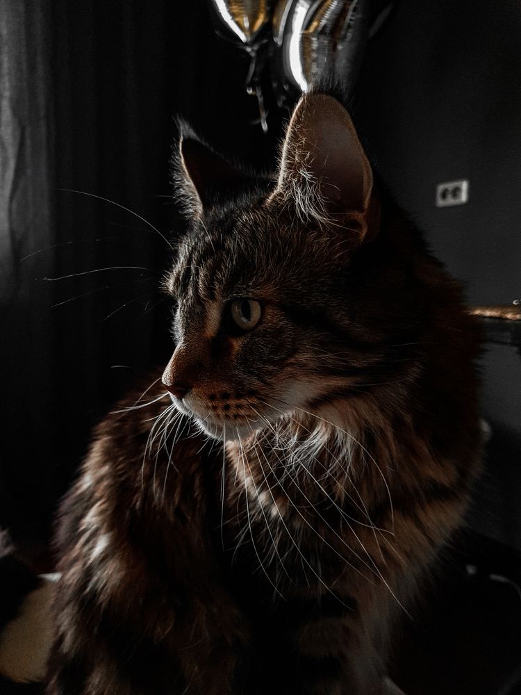 Photograph by Александр Савинов