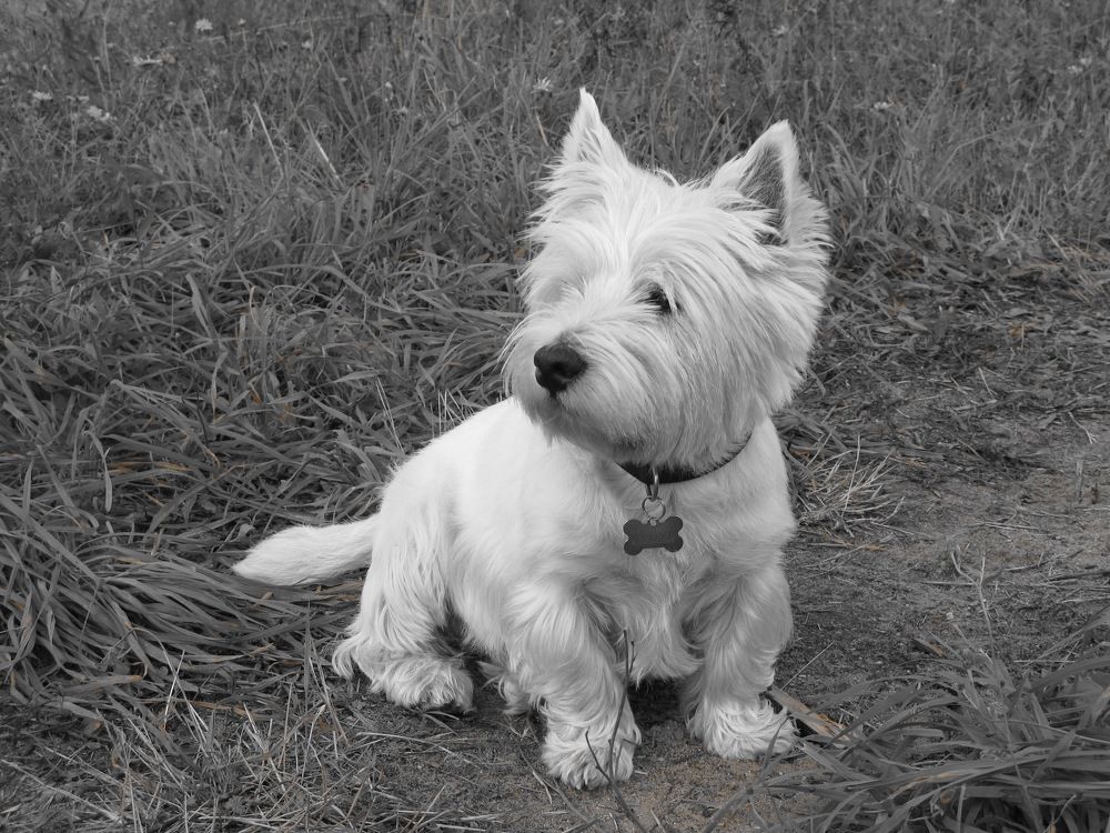 Photograph by Анастасия Бравичева