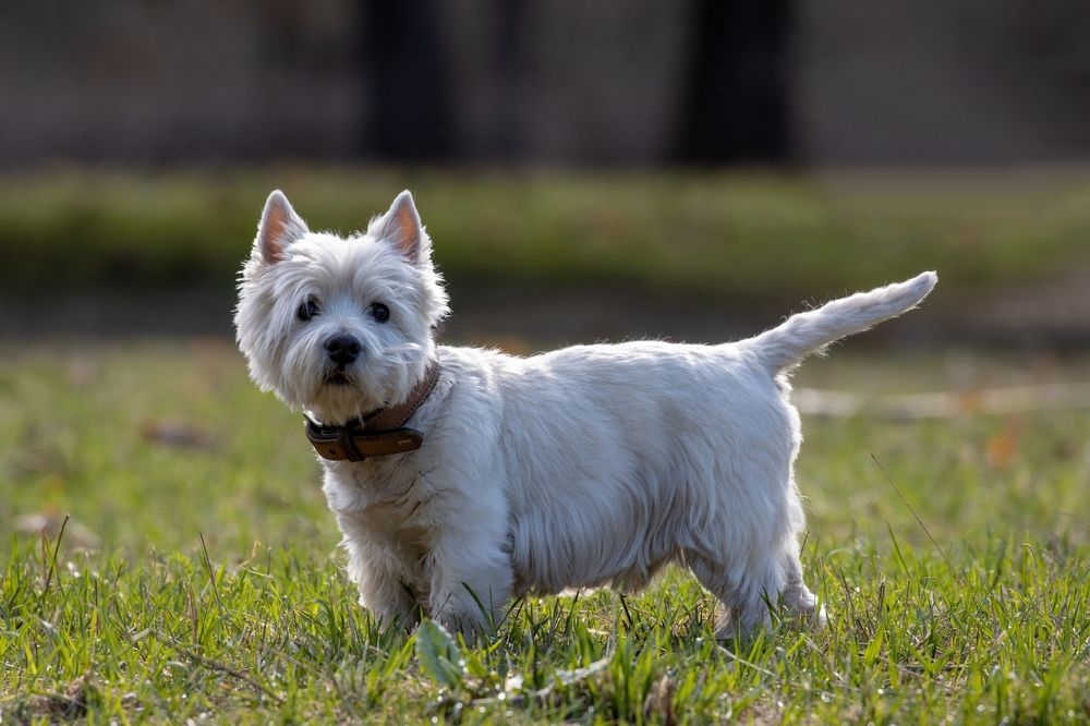 Photograph by Анастасия Бравичева