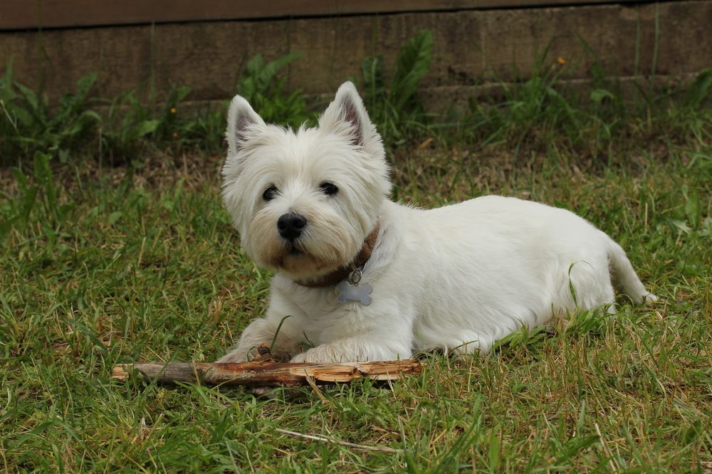 Photograph by Анастасия Бравичева