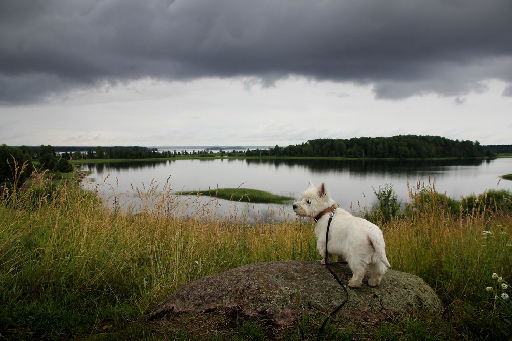 Photograph by Анастасия Бравичева