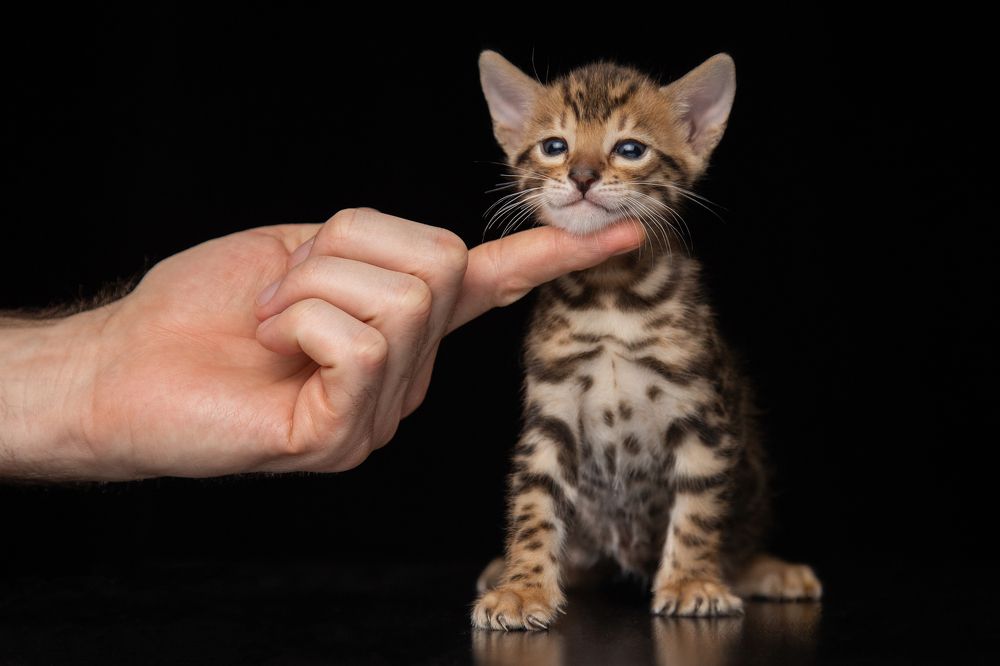 Photograph by Алексей Бубнов