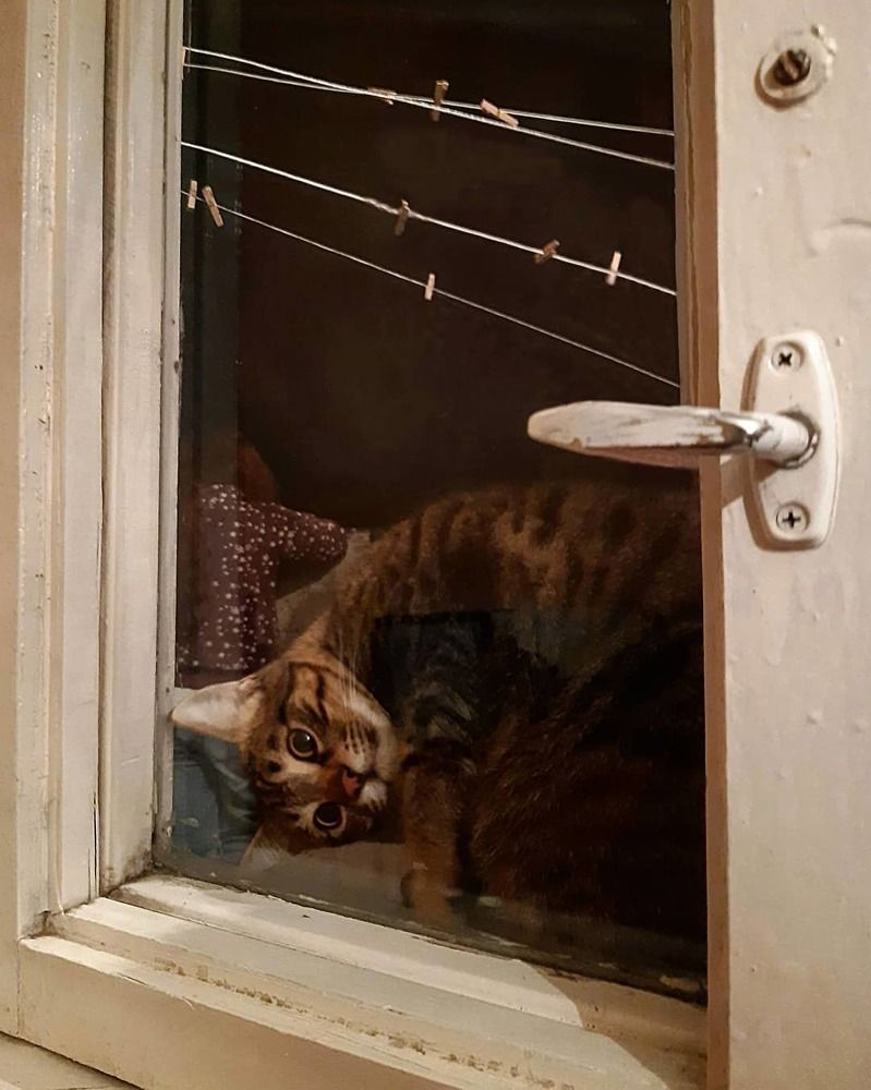 Photograph by Марина Рафаелян