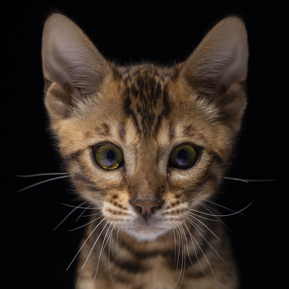 Photograph by Алексей Бубнов