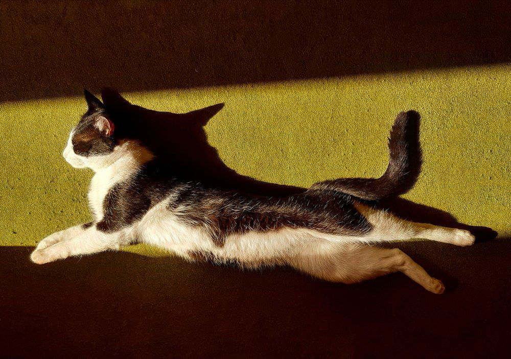 Photograph by Марина Рафаелян