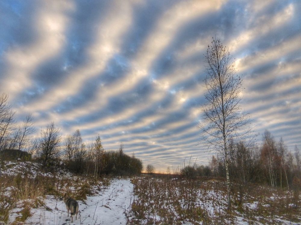 Photograph by Светлана Кондрашова