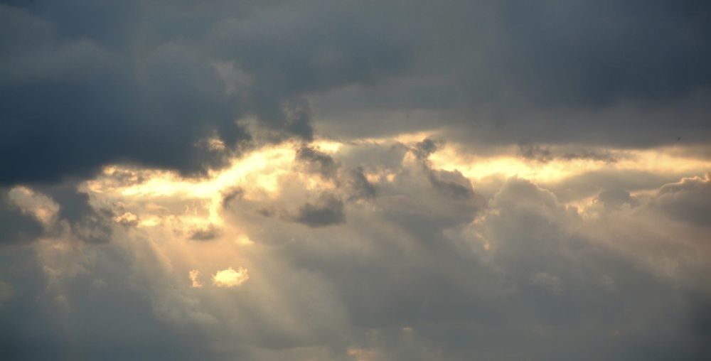 Photograph by Kasra Saadatju