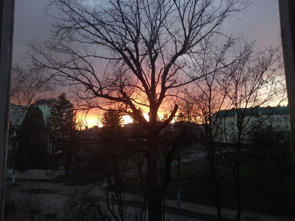 Photograph by Наталія Дронюк