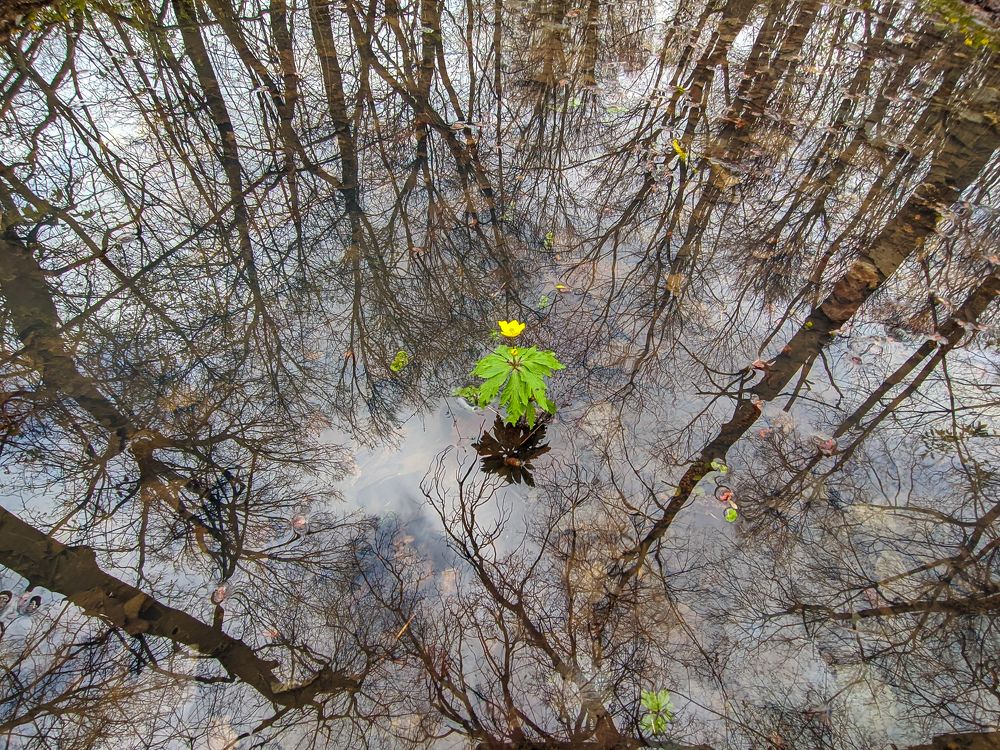 Photograph by Светлана Кондрашова