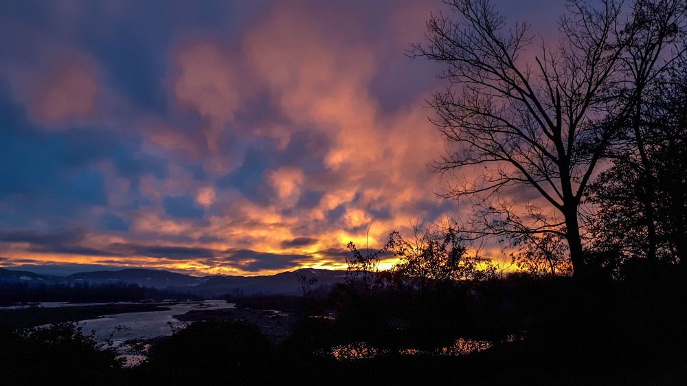 Фотография автора Liliana C.