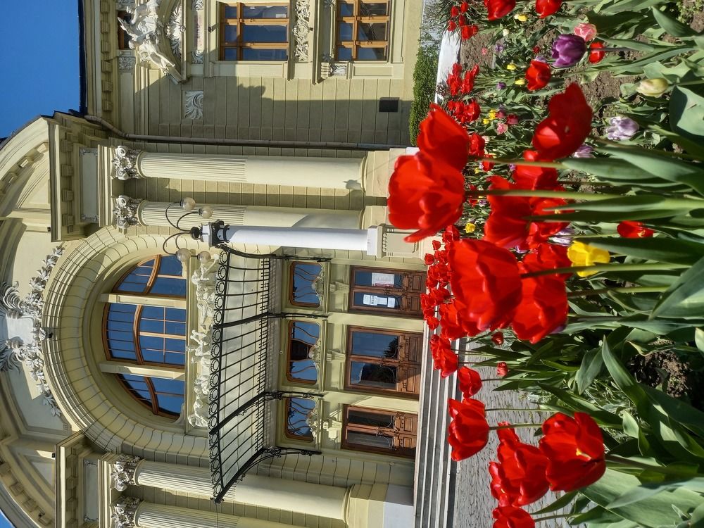 Photograph by Наталія Дронюк