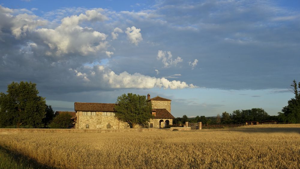 Фотография автора Liliana C.