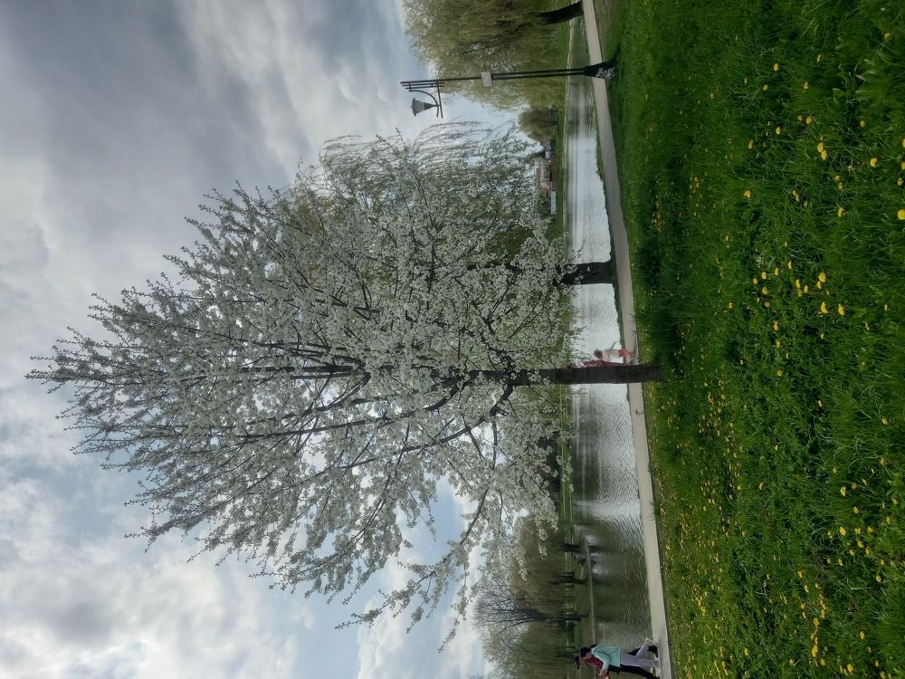 Photograph by Наталія Дронюк