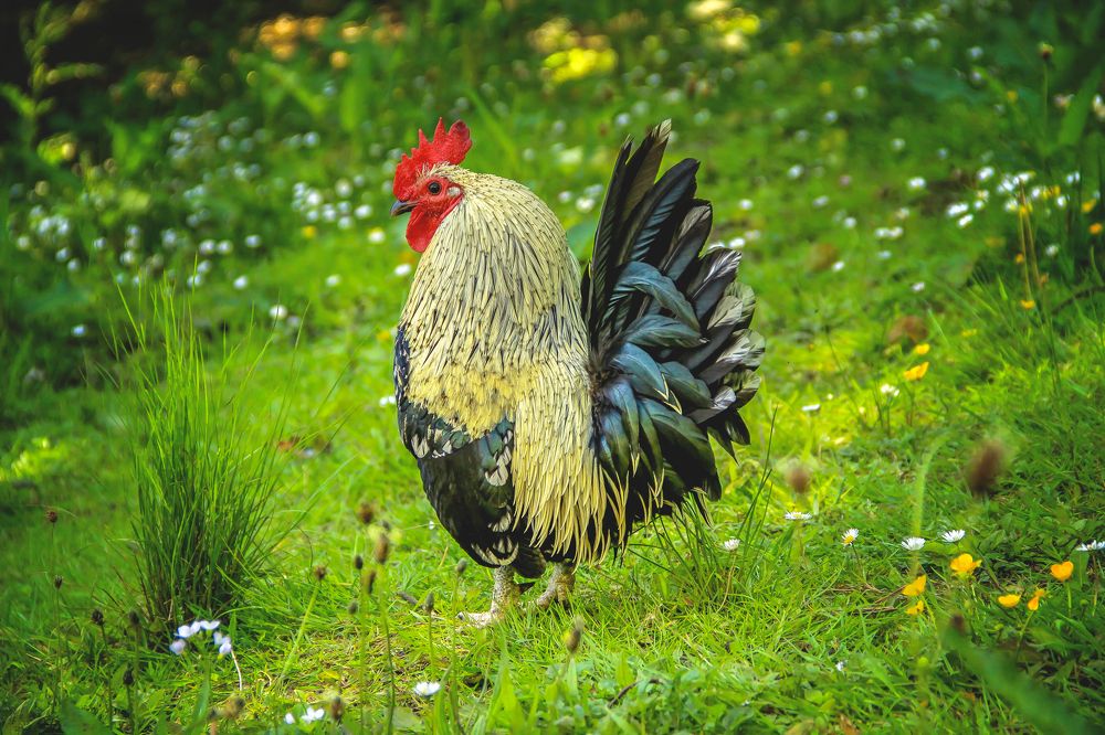 Photograph by Katja Sen